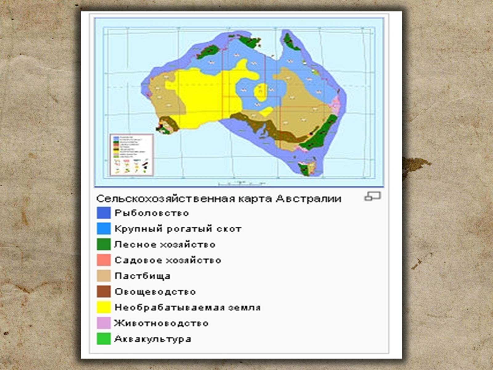 Презентація на тему «Австралія» (варіант 19) - Слайд #37