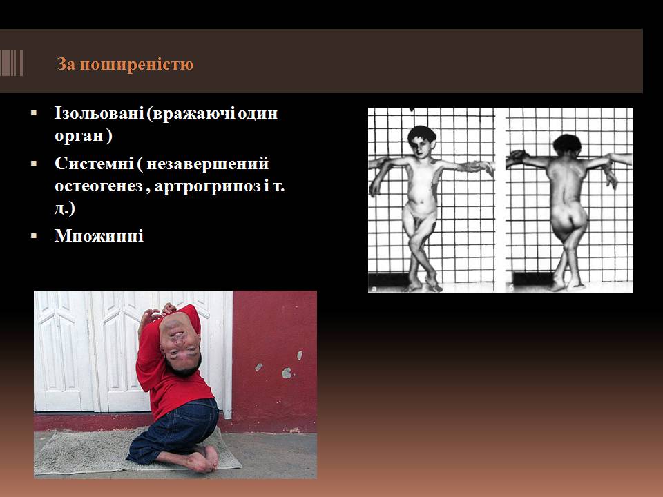 Презентація на тему «Гомеостаз ембріонального розвитку» - Слайд #12