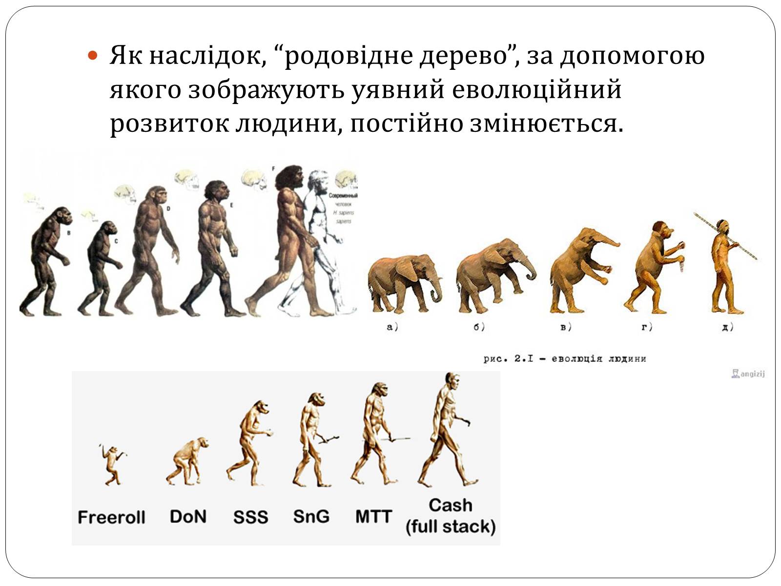 Презентація на тему «Еволюція людини» (варіант 1) - Слайд #8