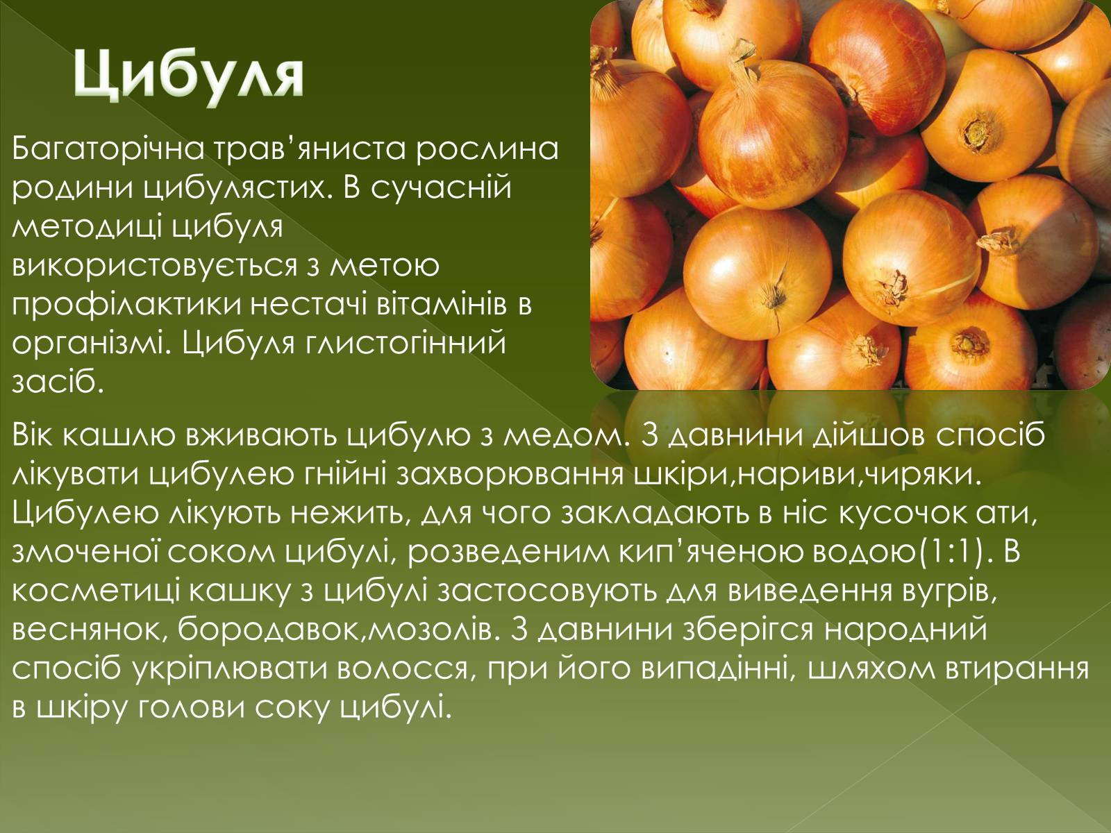 Презентація на тему «Овочеві культури – як лікарські препарати» - Слайд #19