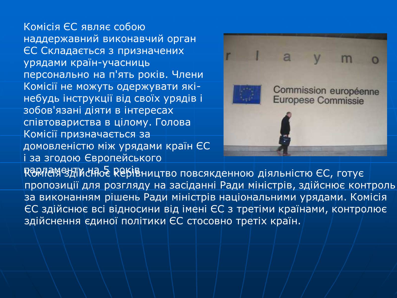 Презентація на тему «Інтеграція національно- інформаційних процесів структури ЄС» - Слайд #12