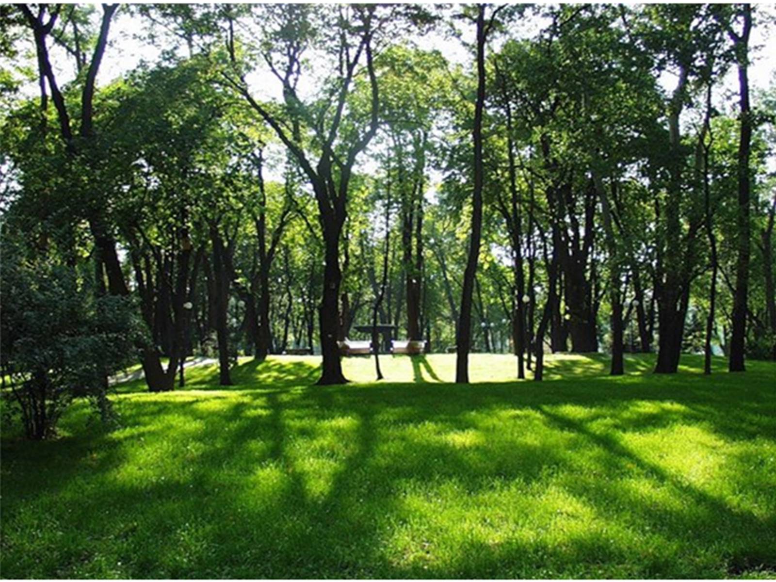 Парк зеленая зона