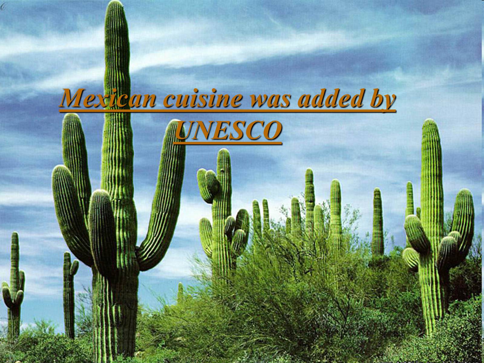 national-cuisine-of-mexico