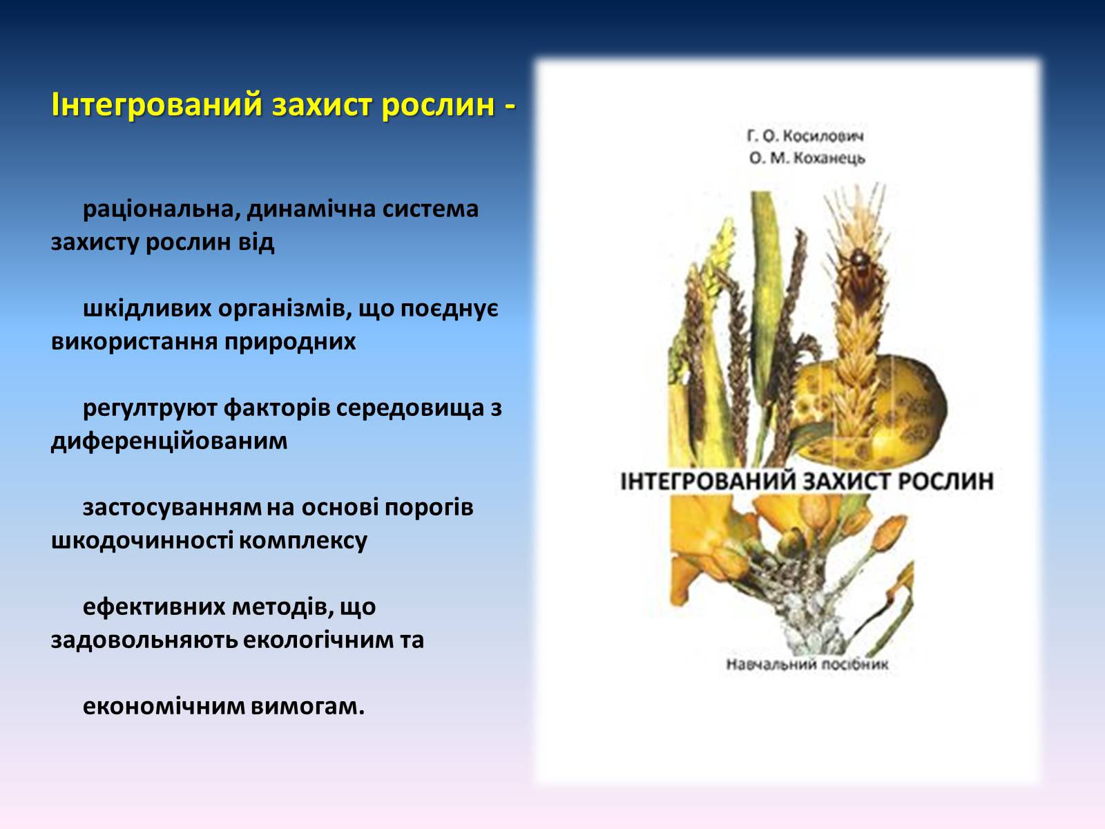 Презентація на тему «Засоби для захисту рослин» - Слайд #17
