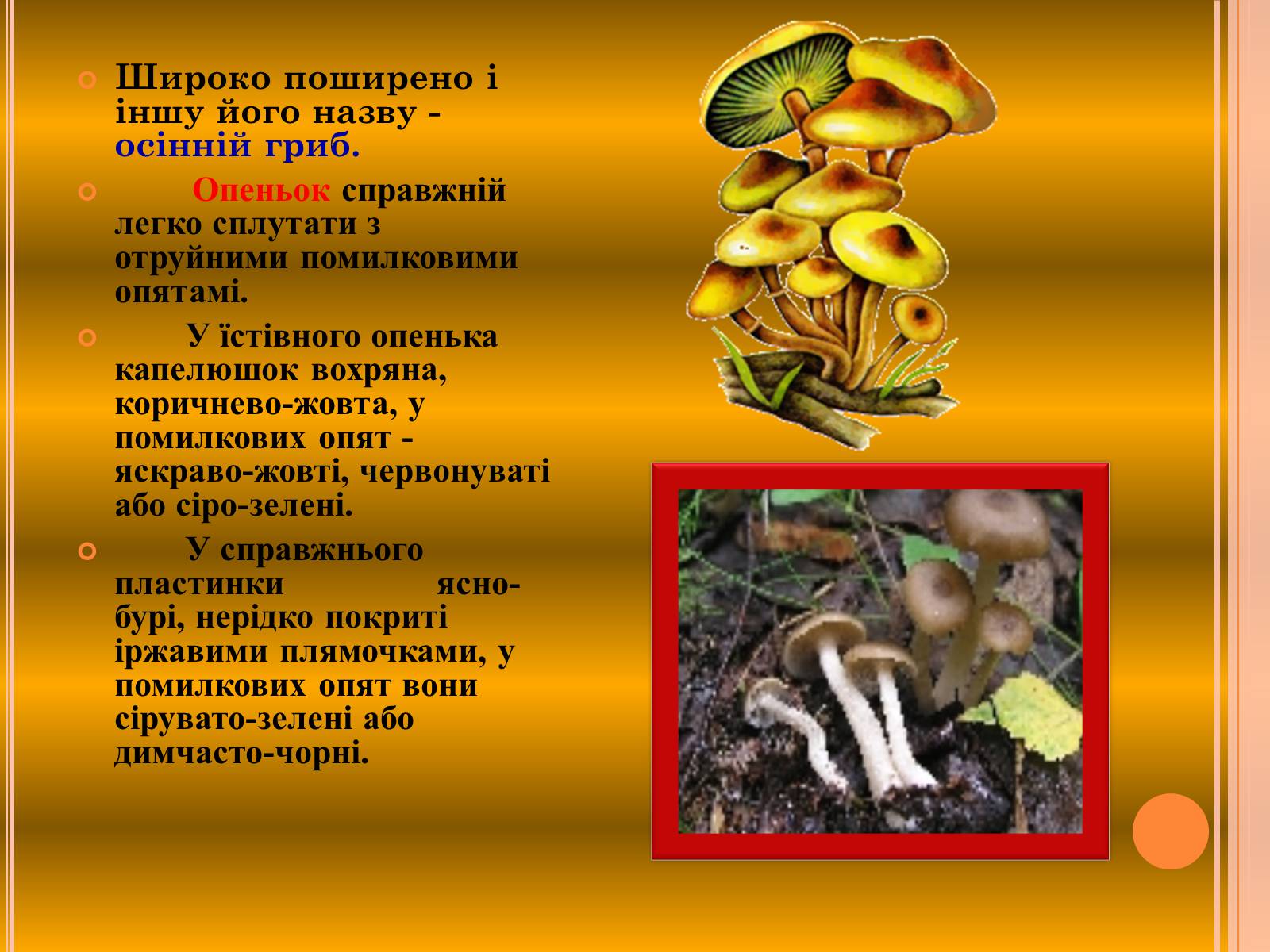 Презентація на тему «Отруєння грибами» - Слайд #8