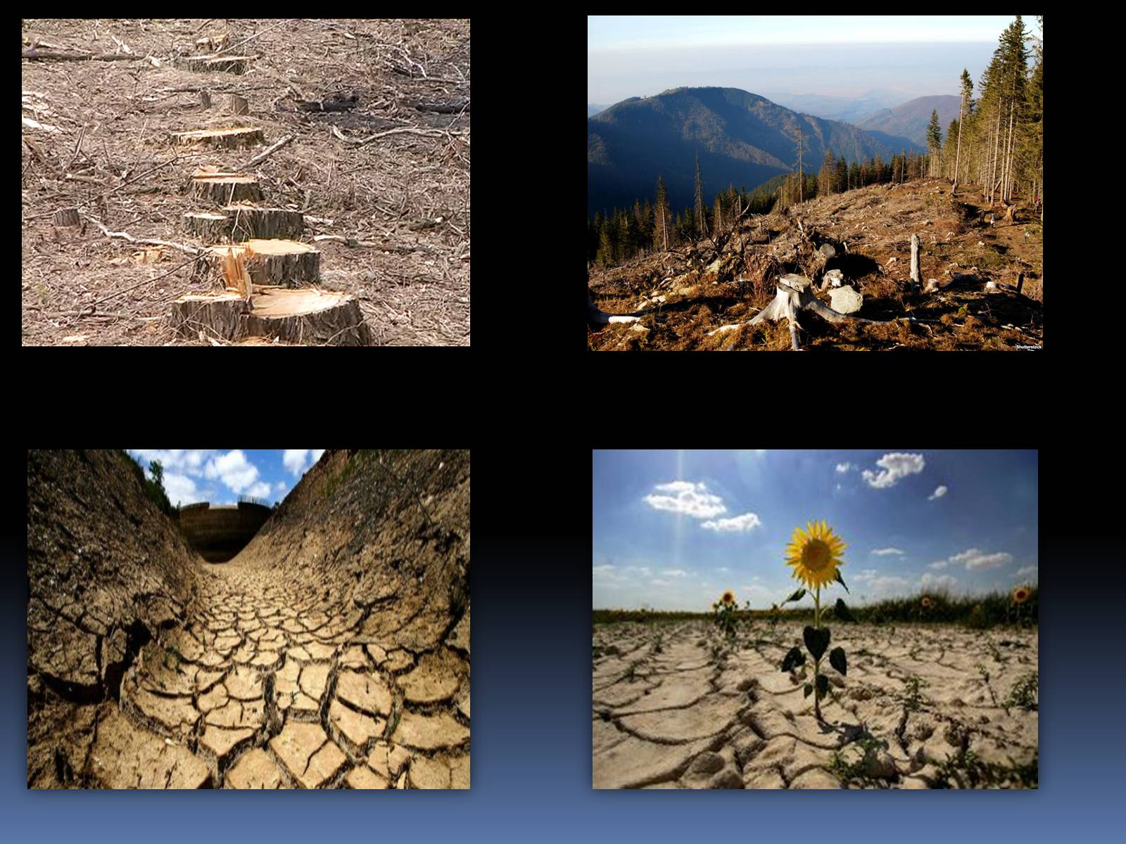 Презентація на тему «Глобальні екологічні проблеми людства» - Слайд #4
