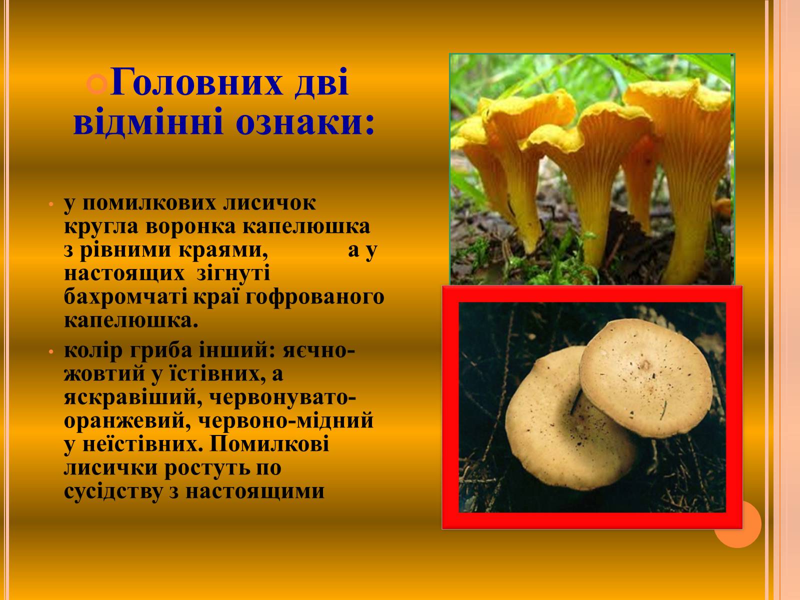 Презентація на тему «Отруєння грибами» - Слайд #9
