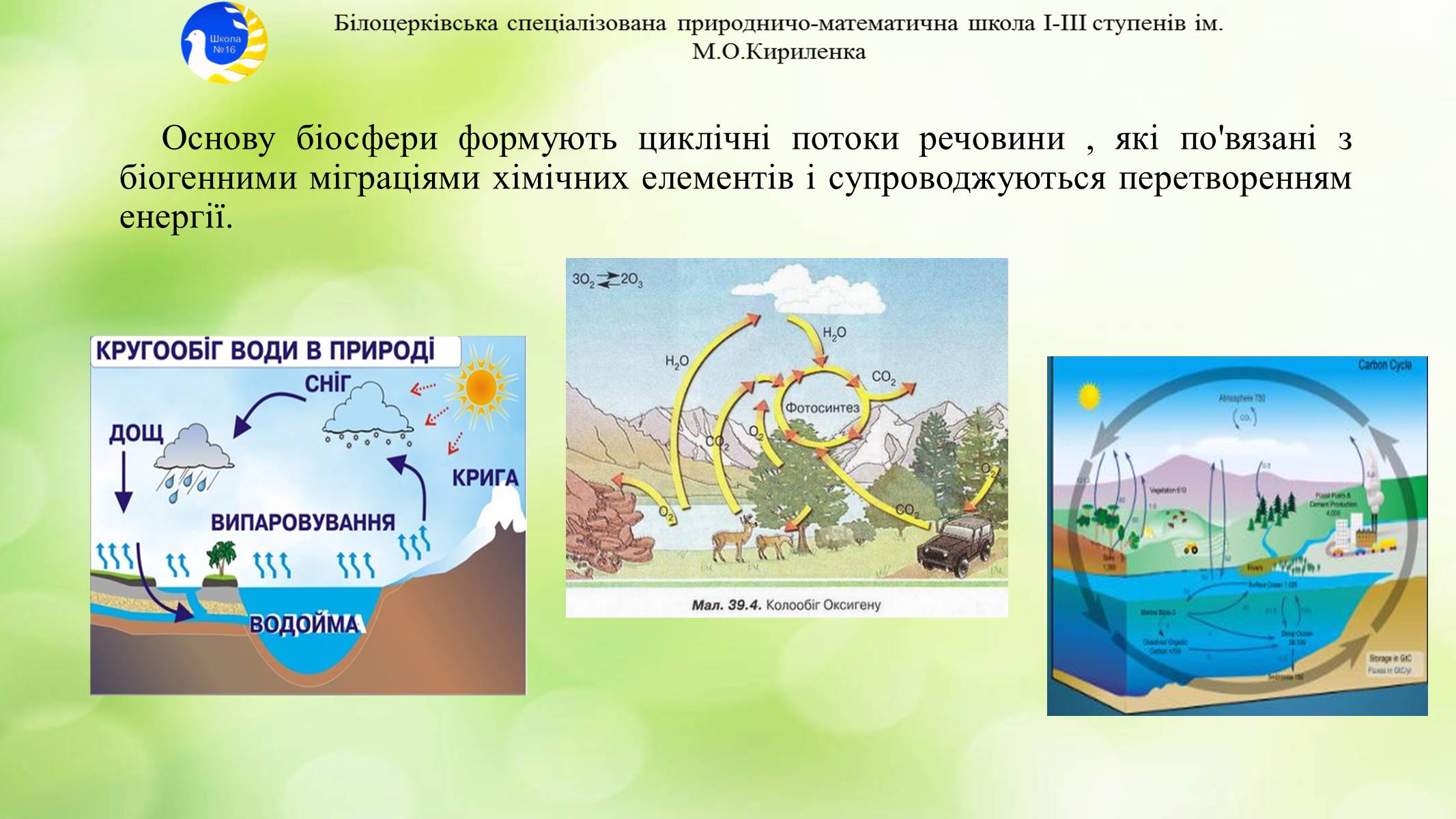 Презентація на тему «Екосистема. Біосфера» - Слайд #18
