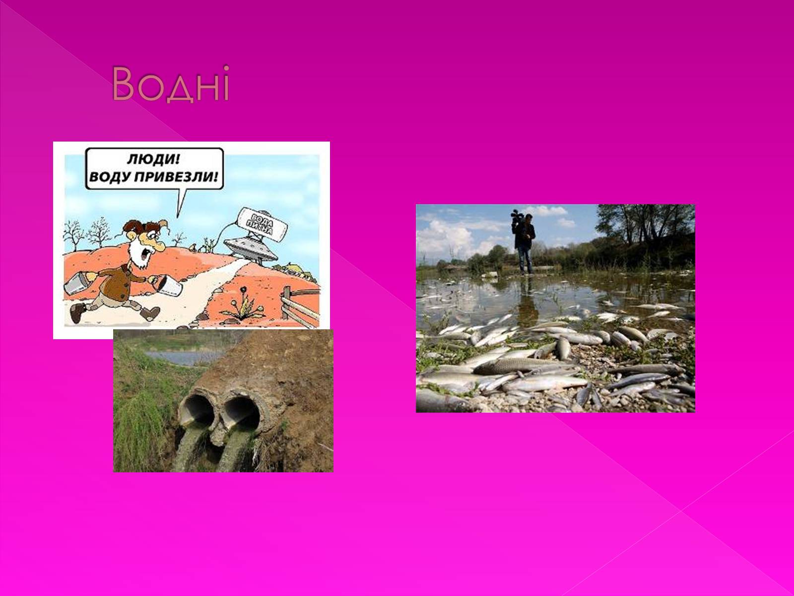 Презентація на тему «Екологічні проблеми» (варіант 7) - Слайд #4
