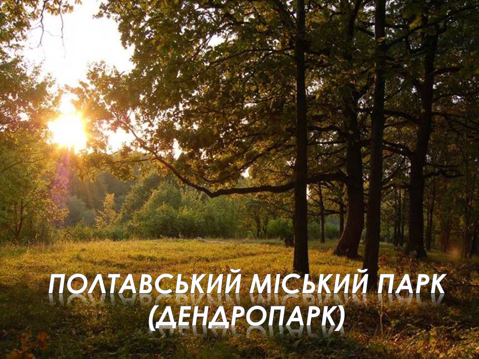 Презентація на тему «Полтавський міський парк» - Слайд #1