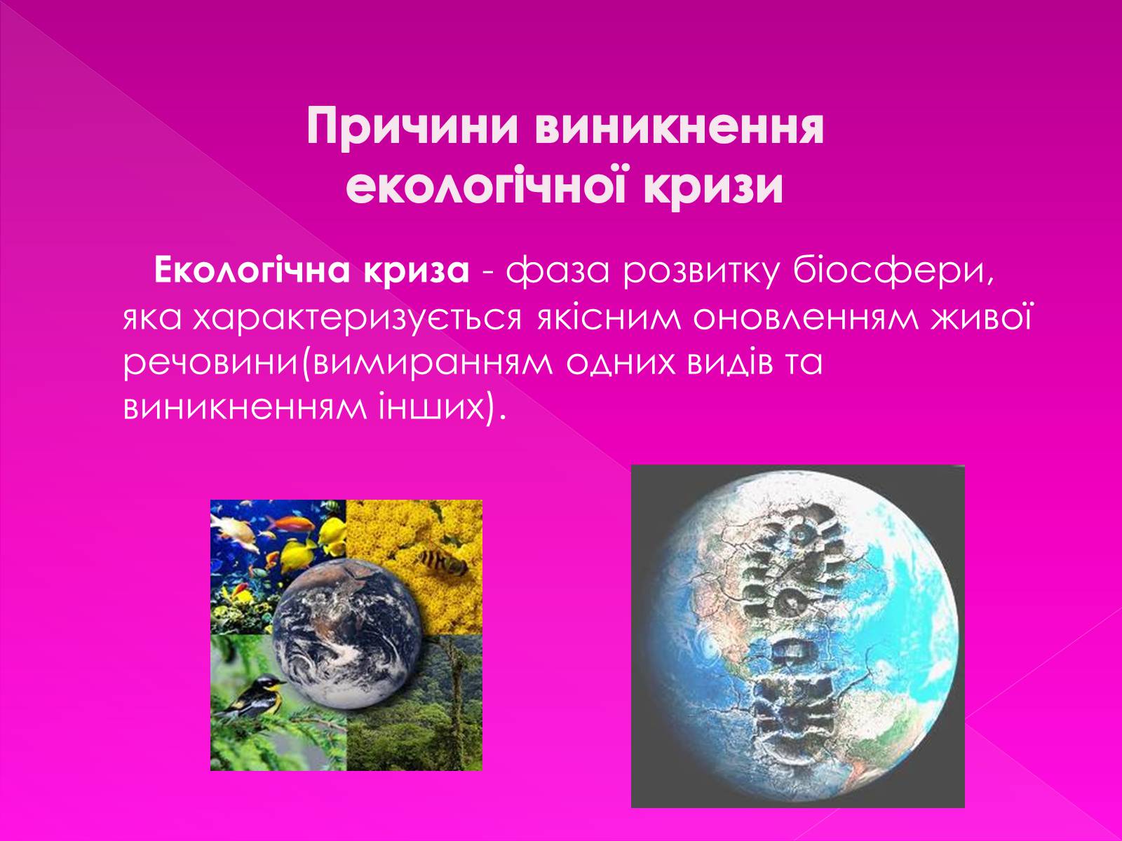 Презентація на тему «Екологічні проблеми» (варіант 7) - Слайд #9