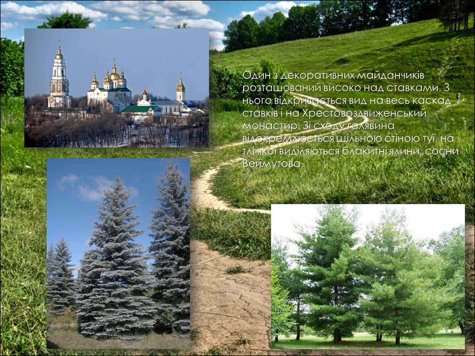 Презентація на тему «Полтавський міський парк» - Слайд #5