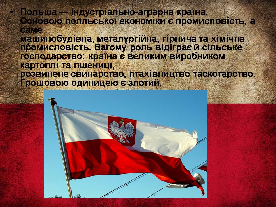 Презентація на тему «Республіка Польща після Другої світової війни до наших днів» - Слайд #25