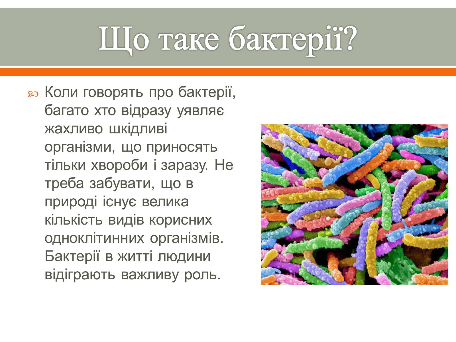 Презентація на тему «Бактерії в житті людини» - Слайд #2