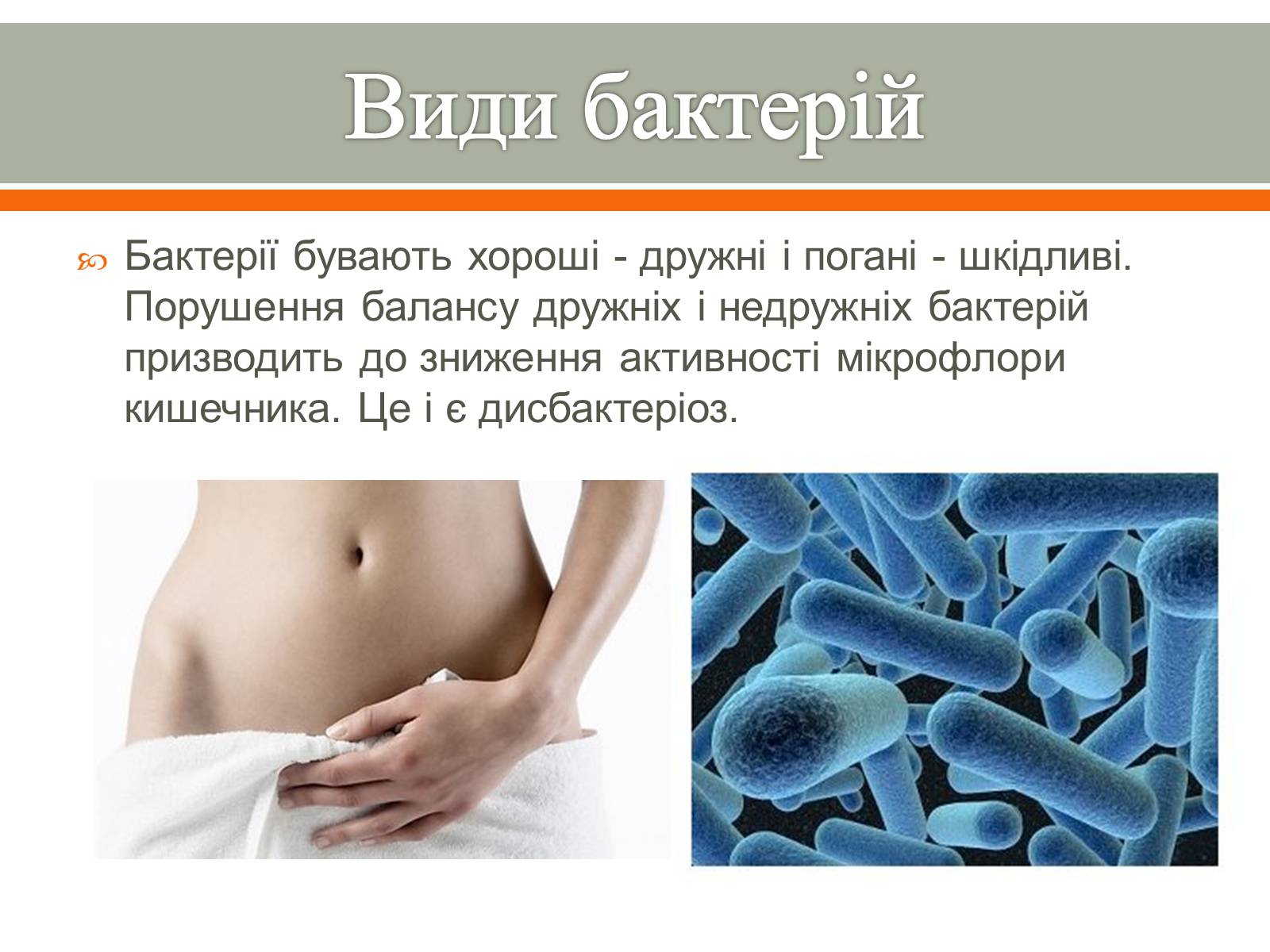 Презентація на тему «Бактерії в житті людини» - Слайд #5