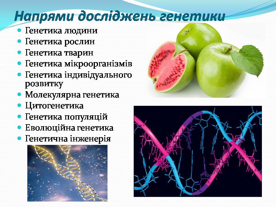 Презентація на тему «Цікаві факти про генетику» - Слайд #3