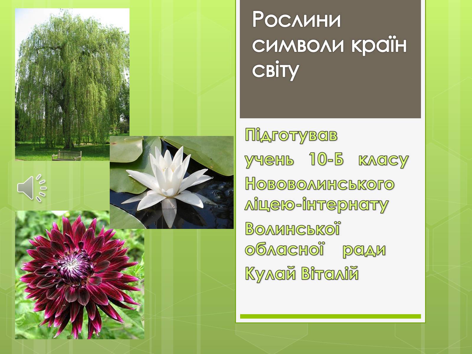 Презентація на тему «Рослини символи країн світу» - Слайд #1