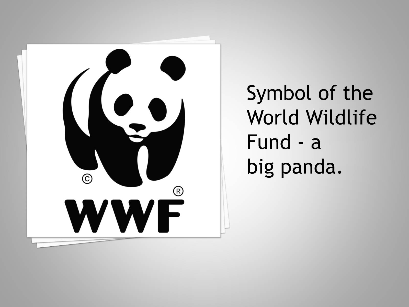 The world wildlife fund is. Всемирный фонд дикой природы WWF России. (Англ. World Wildlife Fund, WWF). The World wide Fund for nature (WWF). Символ WWF.