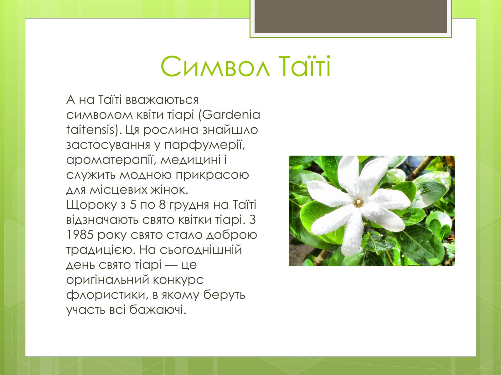Презентація на тему «Рослини символи країн світу» - Слайд #9