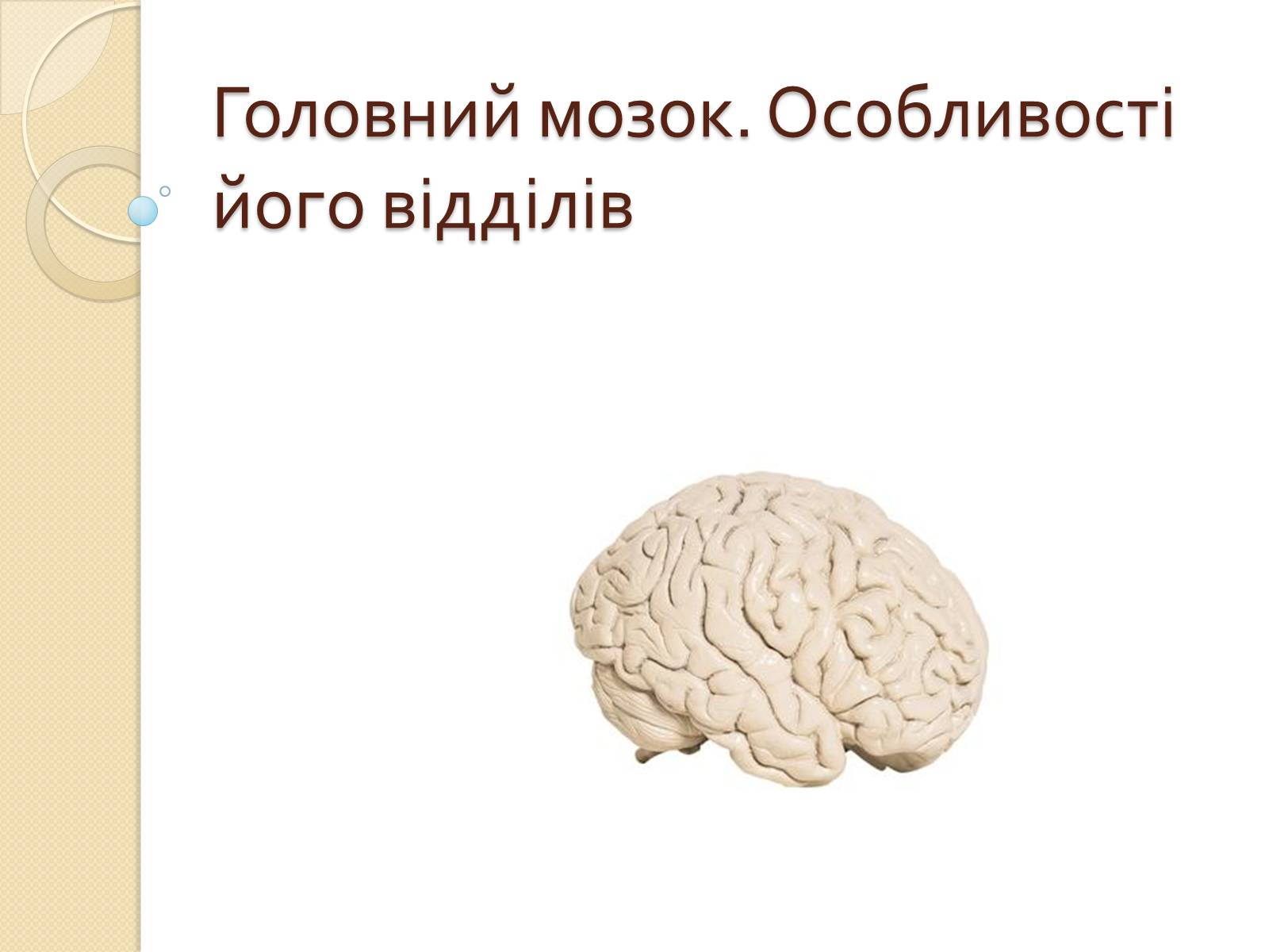 Презентація на тему «Головний мозок. Особливості його відділів» - Слайд #1