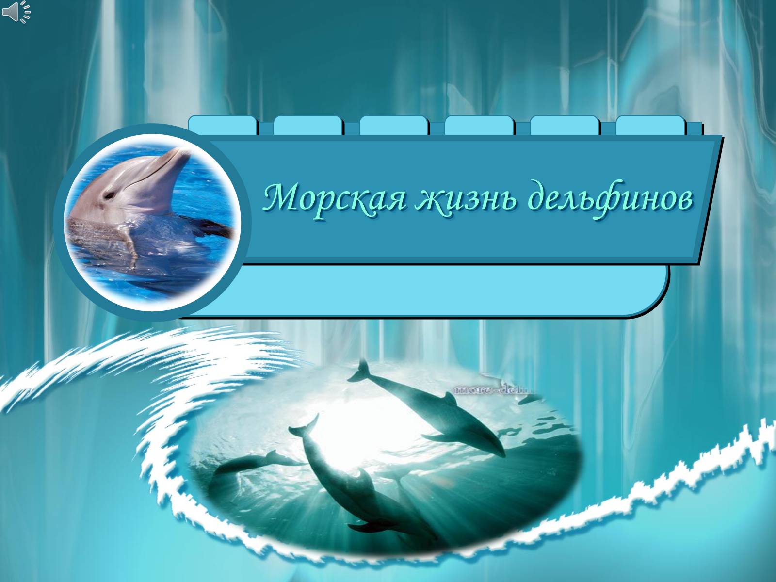 Презентація на тему «Морская жизнь дельфинов» - Слайд #1