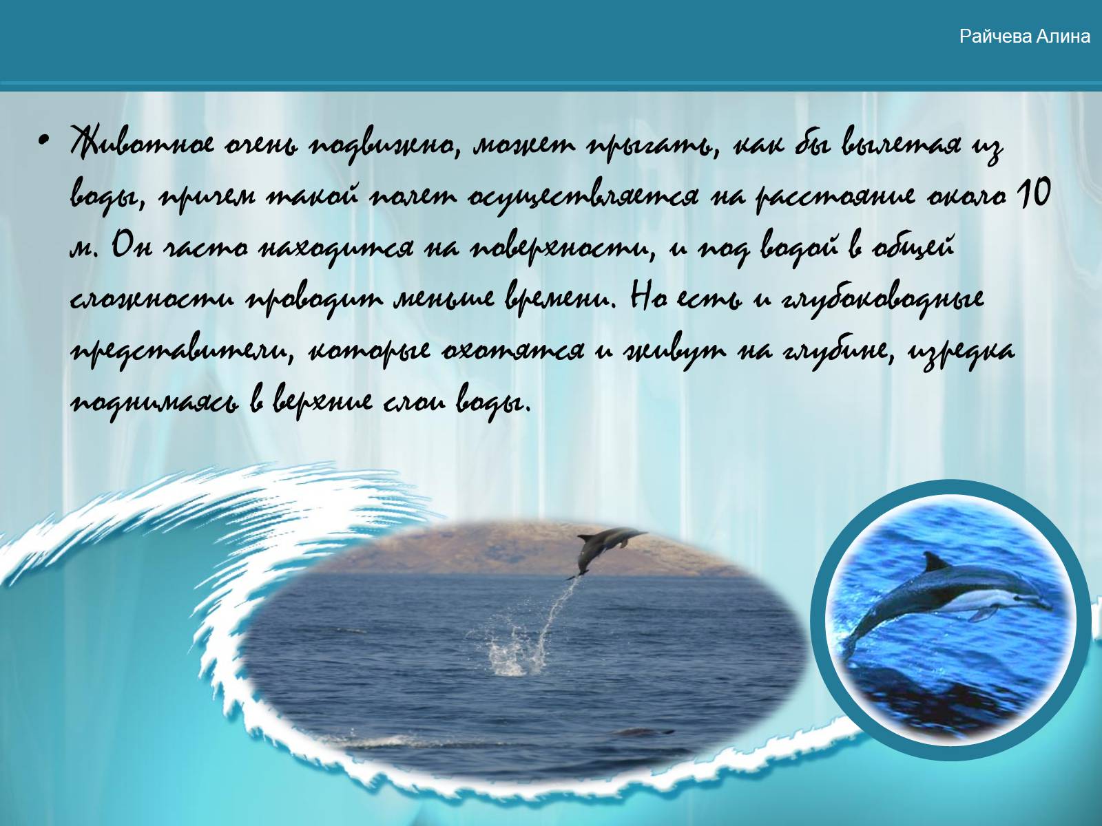 Презентація на тему «Морская жизнь дельфинов» - Слайд #5