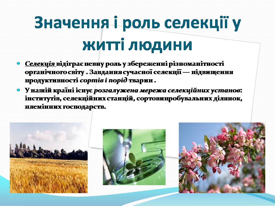 Презентація на тему «Генетичні основи селекції рослин» (варіант 3) - Слайд #9