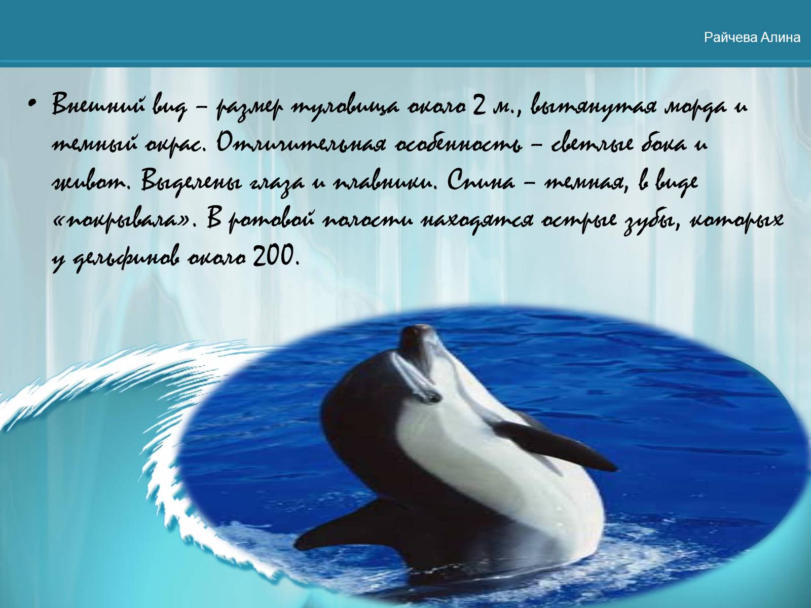 Презентація на тему «Морская жизнь дельфинов» - Слайд #8