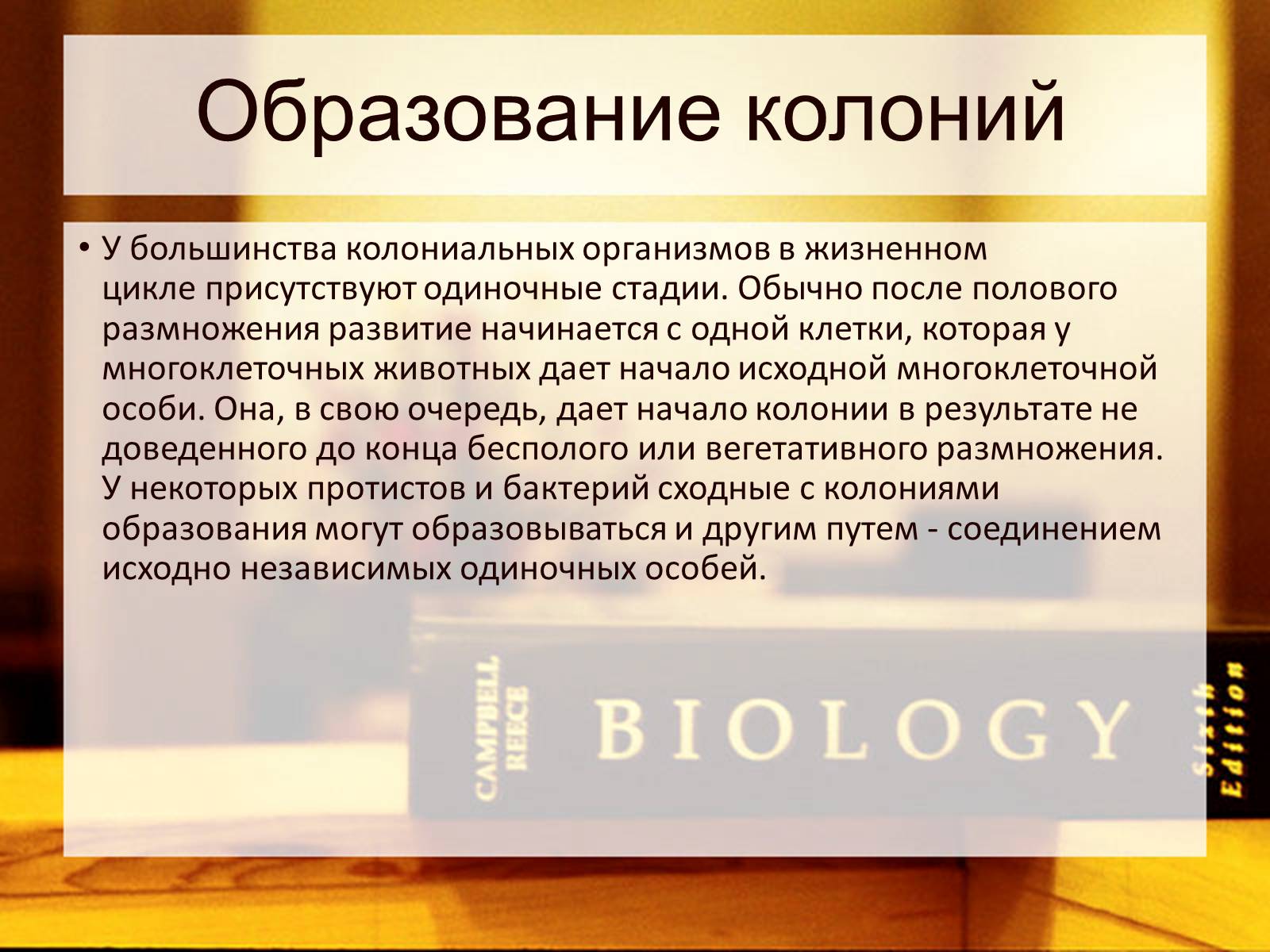 Презентація на тему «Многообразие одноклеточных колониальных организмов» - Слайд #4