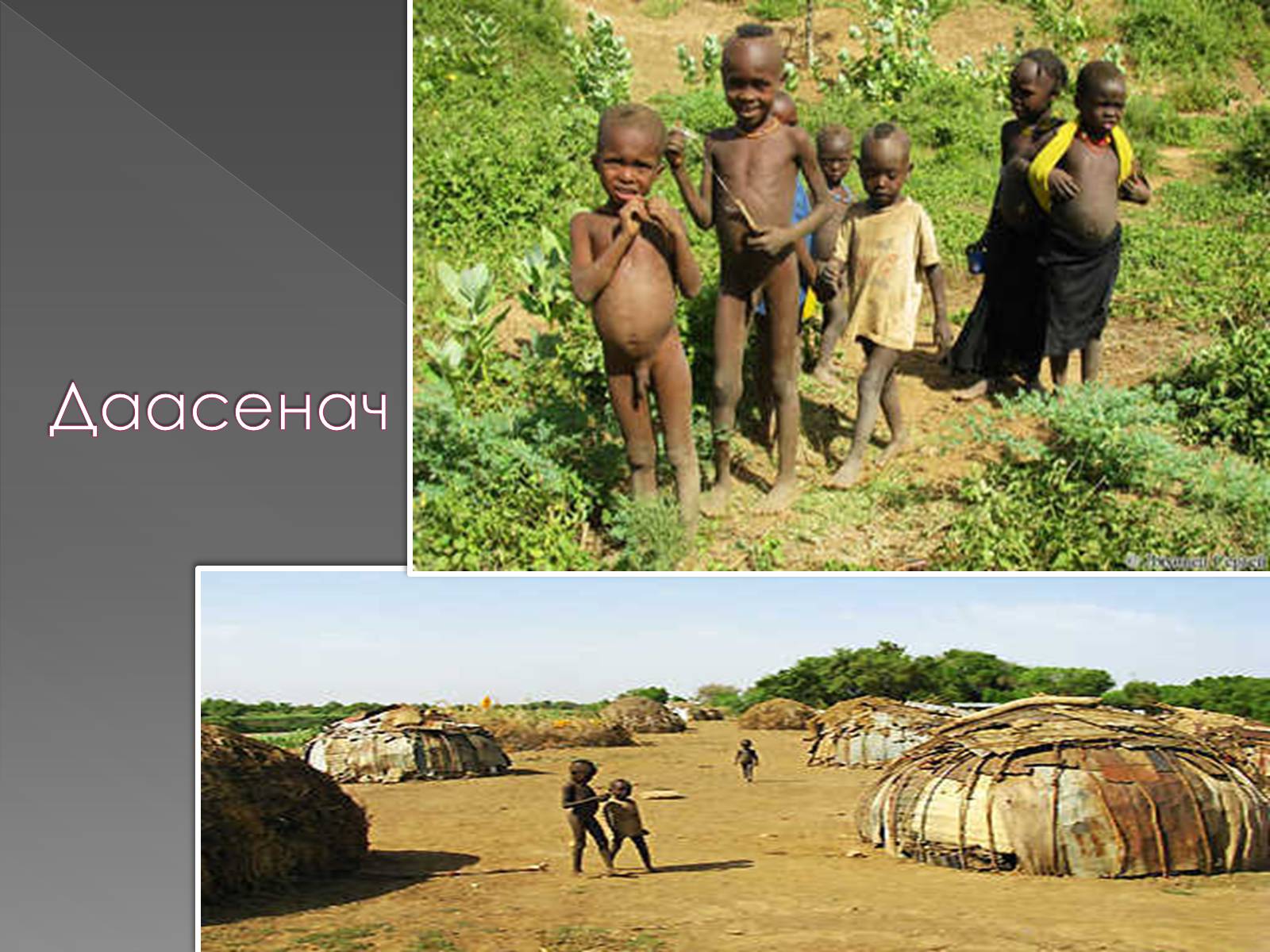 Презентація на тему «Кочове життя африканців» - Слайд #33