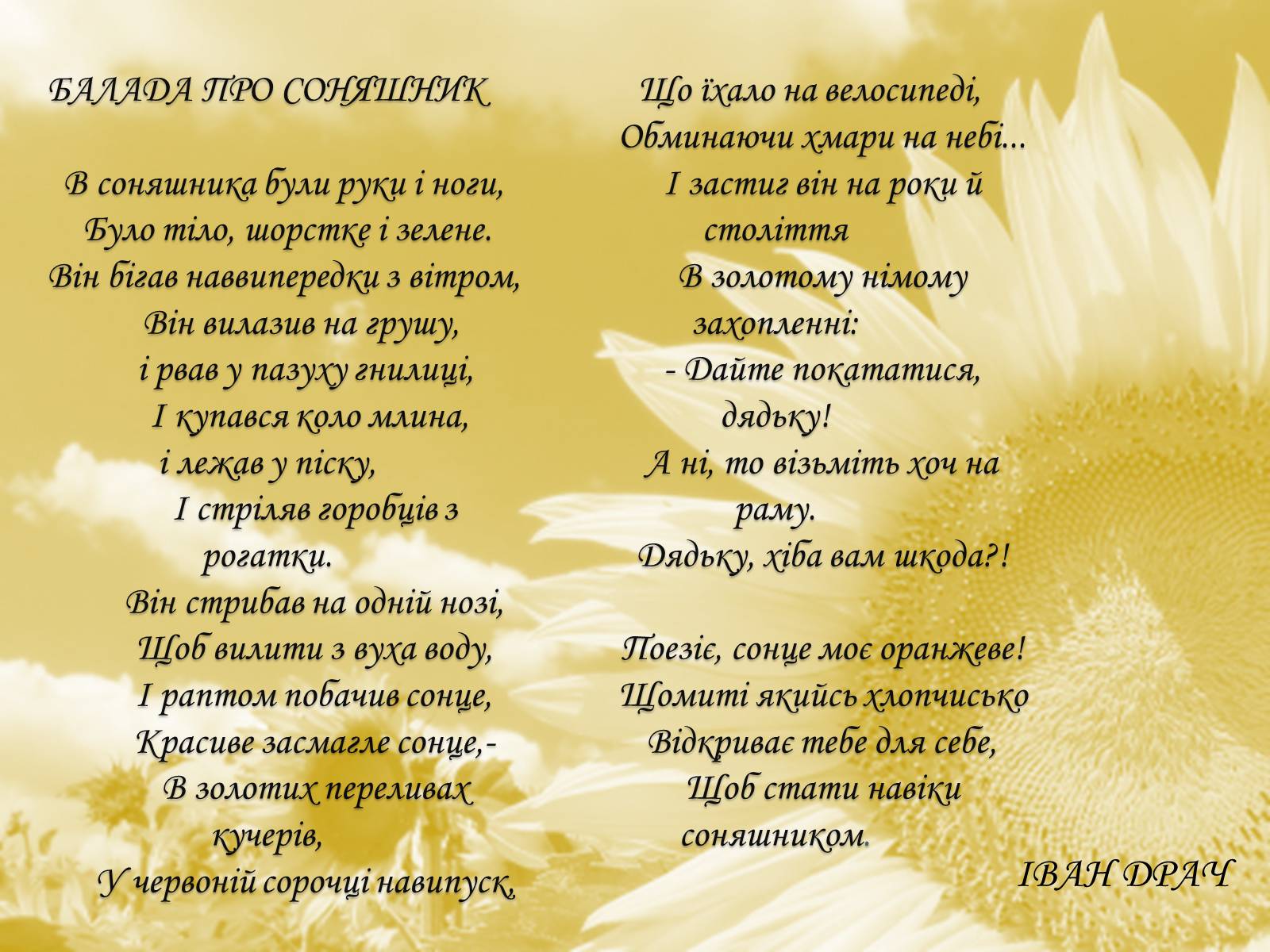 Презентація на тему «Соняшник – народний символ України!» - Слайд #9
