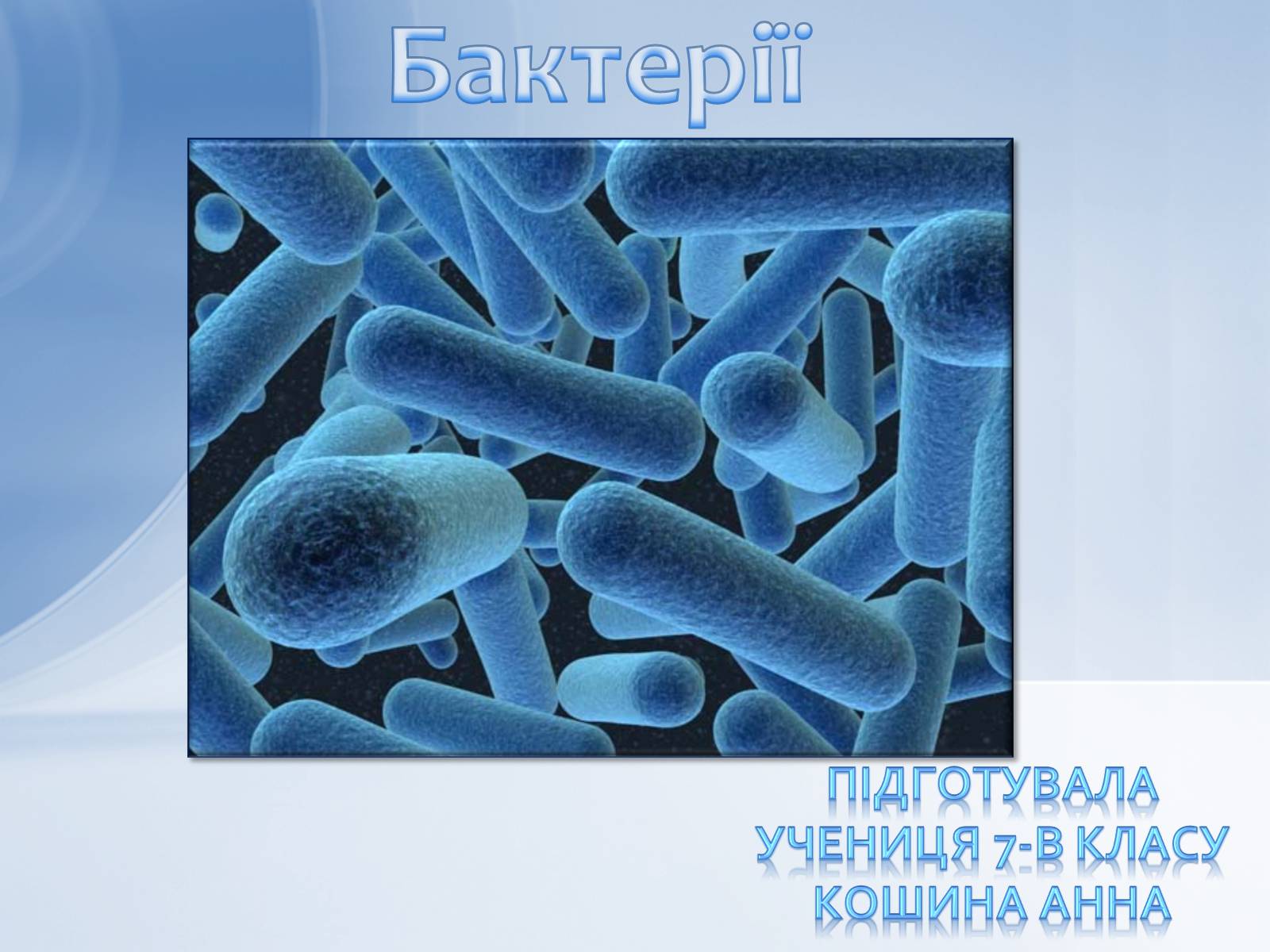 Презентація на тему «Бактерії» (варіант 2) - Слайд #1