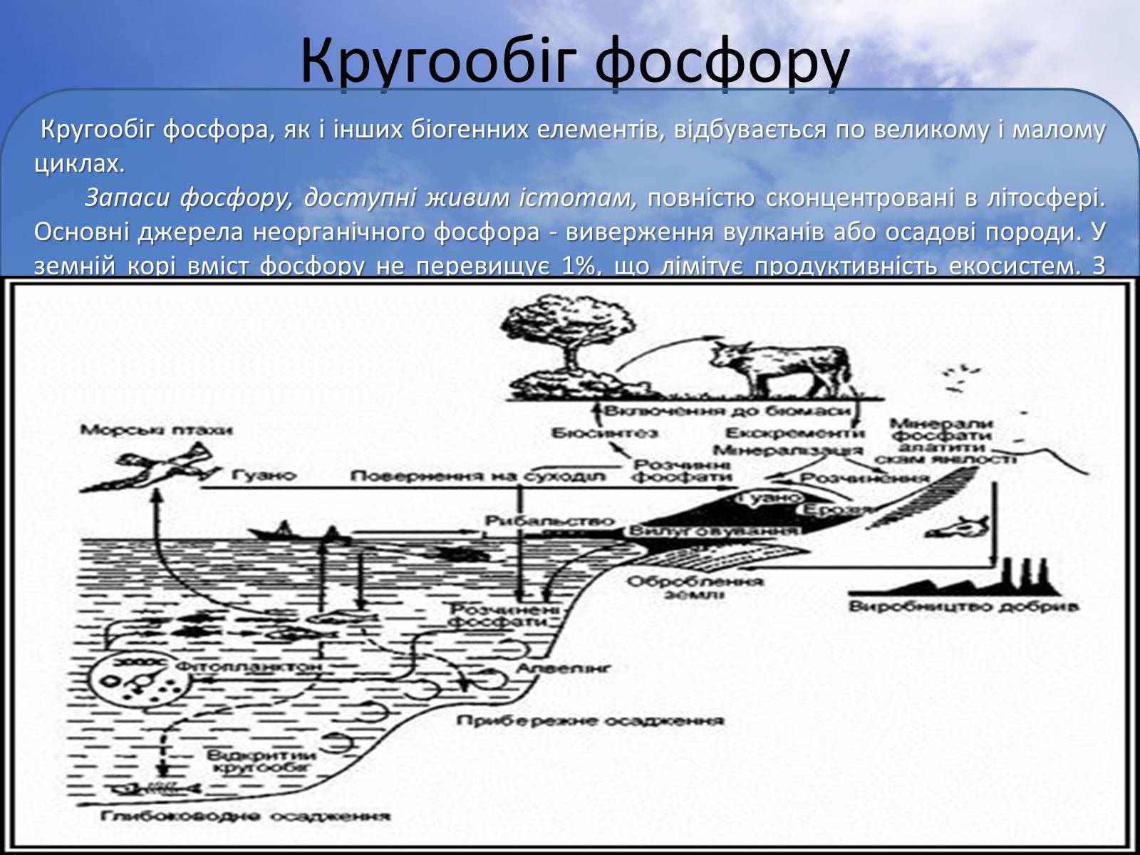 Презентація на тему «Колообіг фосфору у природі» - Слайд #5