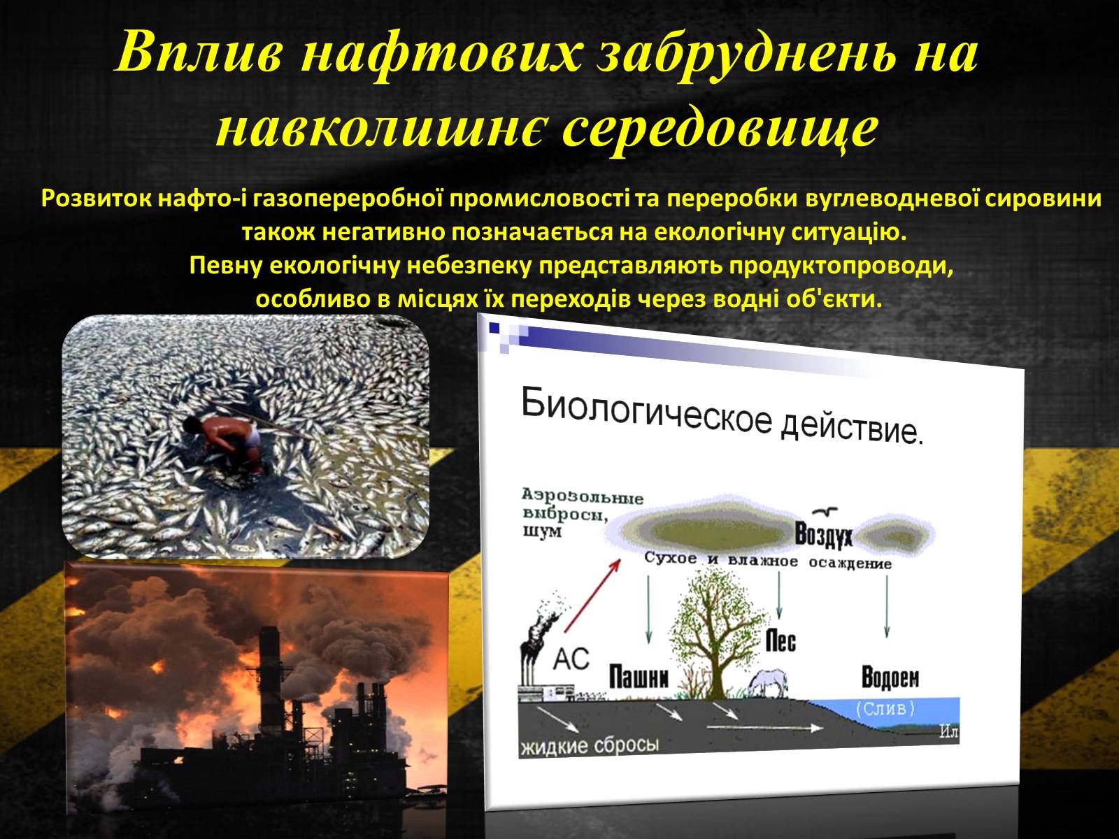 Презентація на тему «Нафтові забруднення. Сучасні методи знешкодження нафтозабруднень» - Слайд #3