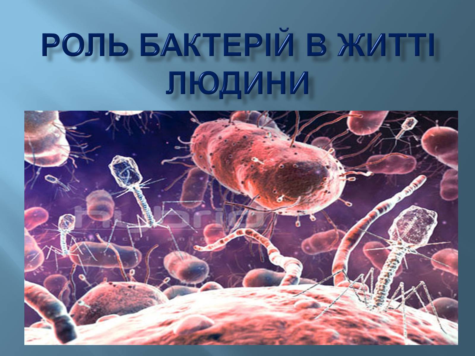 Презентація на тему «Роль бактерій в житті людини» - Слайд #1