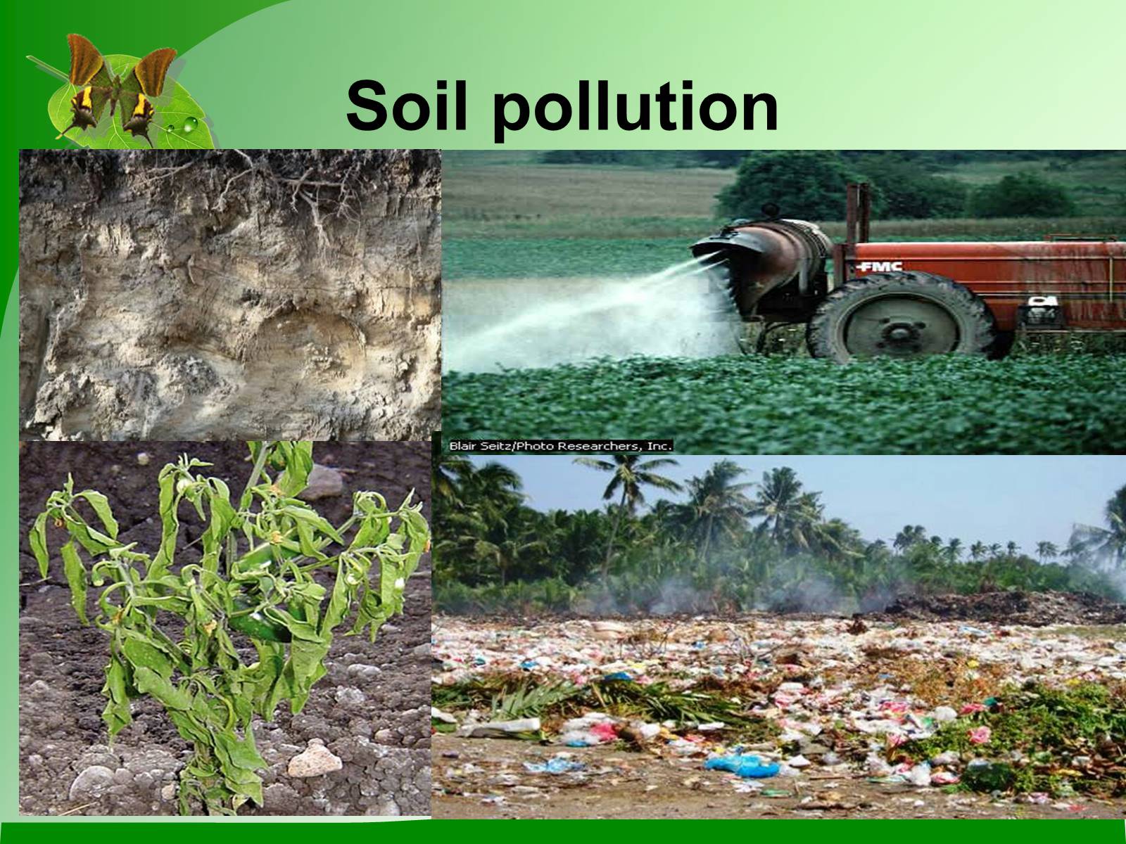 Презентація на тему «Ecological Problems» (варіант 2) - Слайд #8