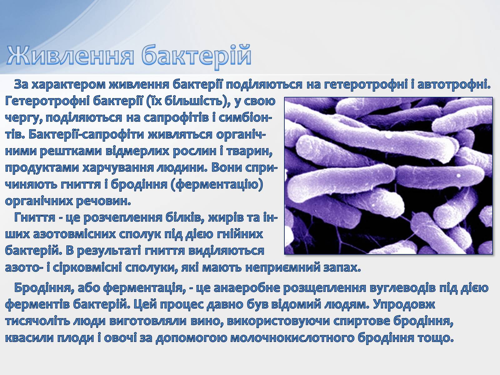 Презентація на тему «Бактерії» (варіант 2) - Слайд #7
