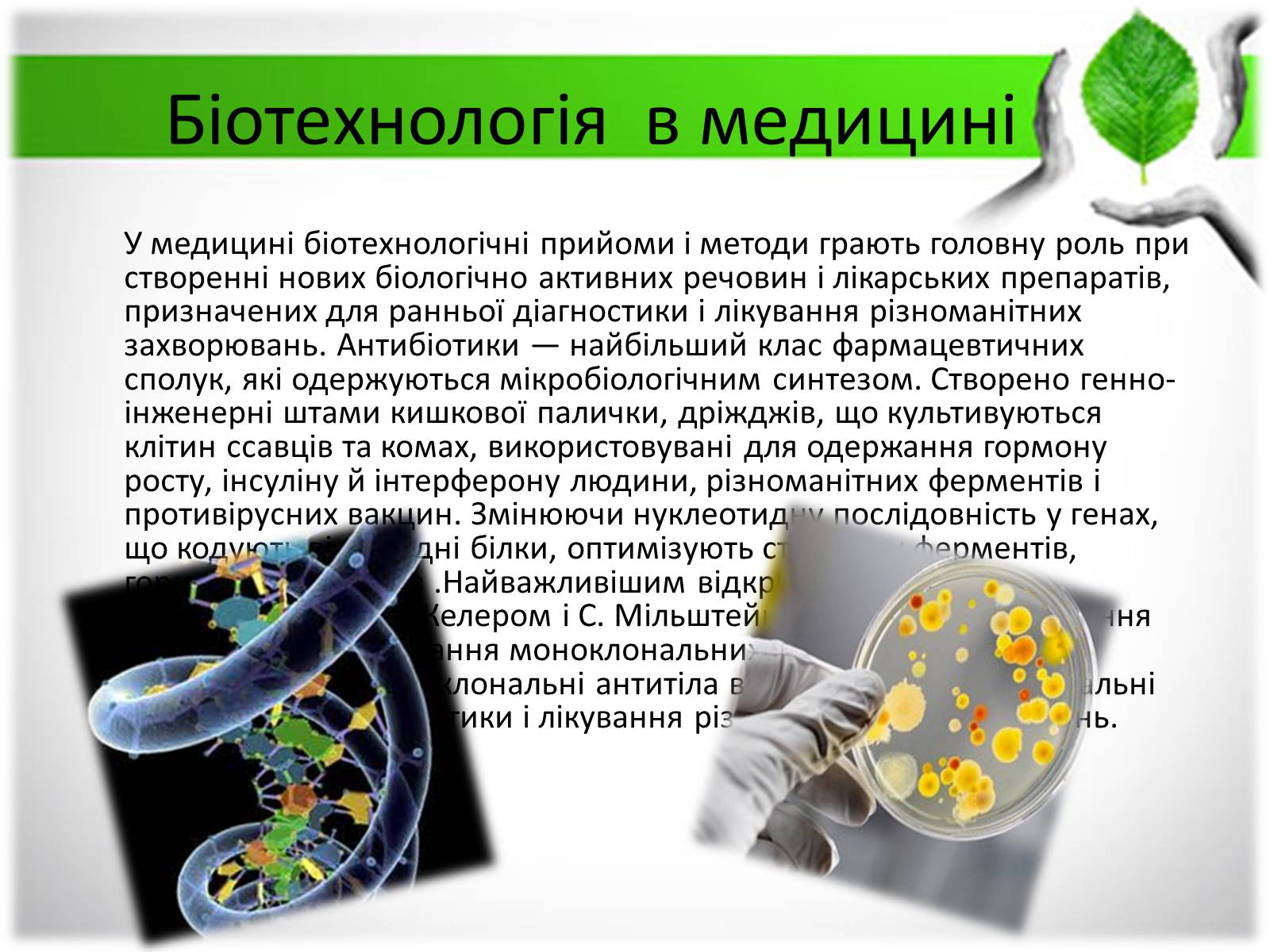 Презентація на тему «Біотехнологія» (варіант 3) - Слайд #8