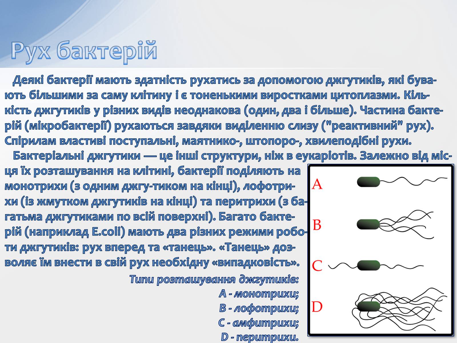 Презентація на тему «Бактерії» (варіант 2) - Слайд #9