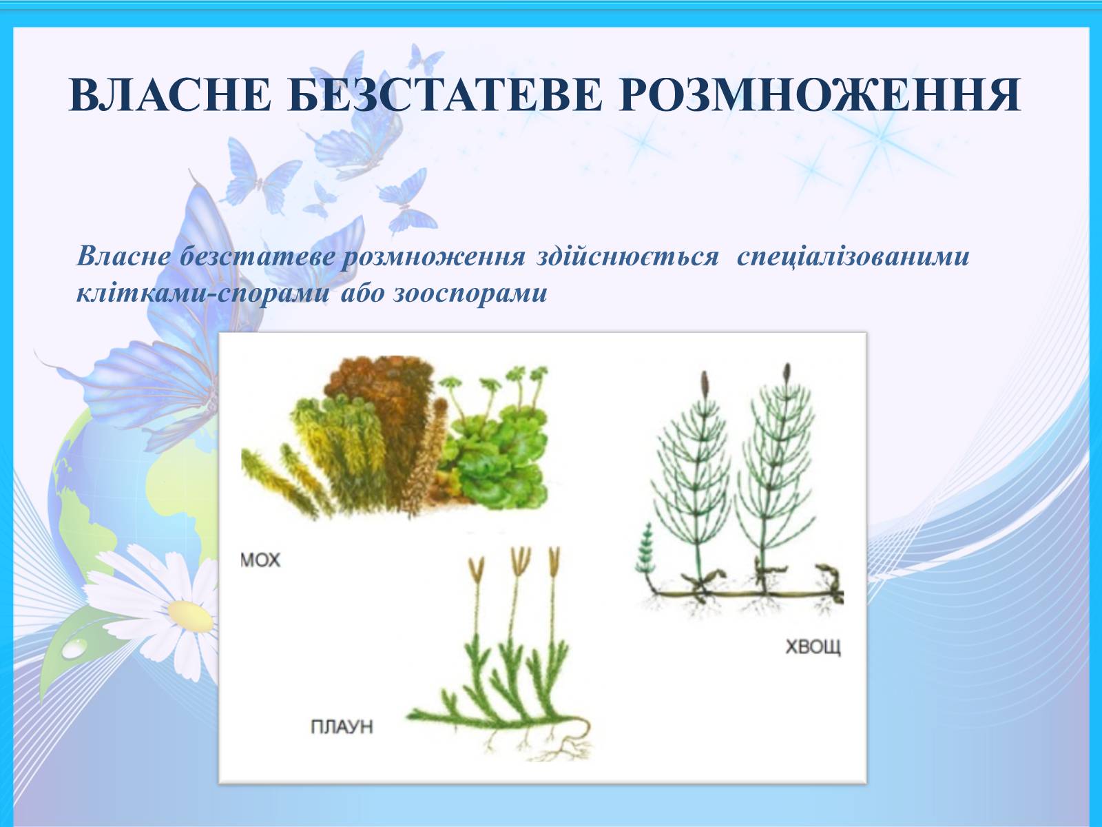 Презентація на тему «Способи розмноження рослин» - Слайд #8