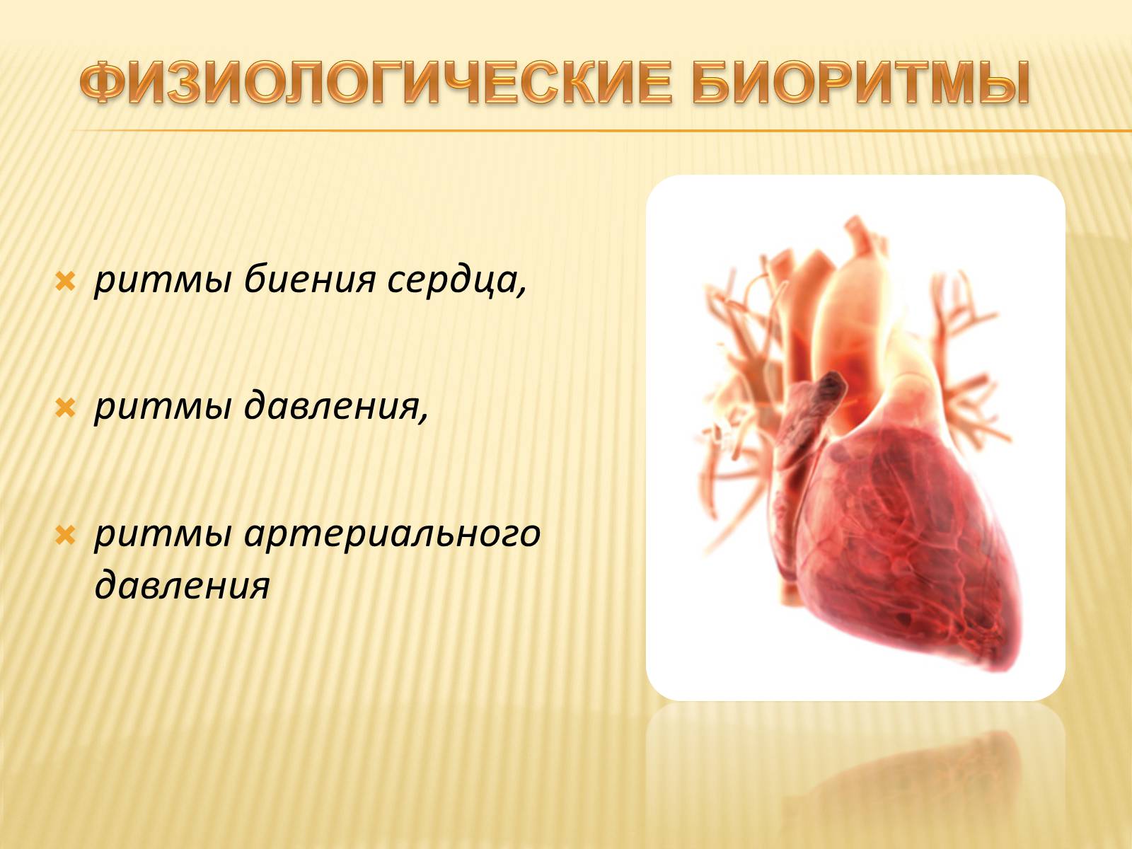 Презентація на тему «Биоритмы человека» - Слайд #10