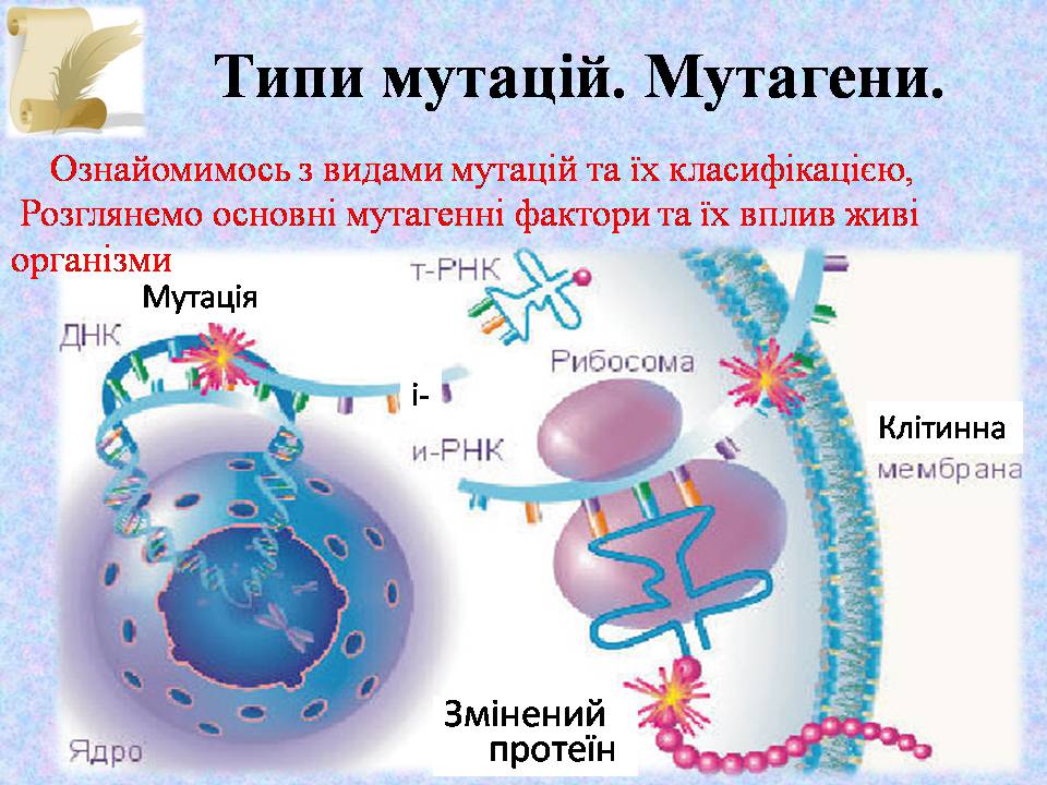 Презентація на тему «Типи мутацій. Мутагени» - Слайд #9