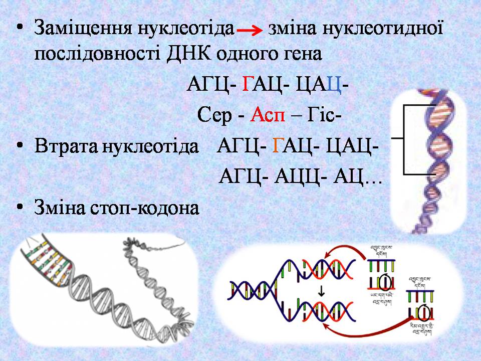 Презентація на тему «Типи мутацій. Мутагени» - Слайд #18