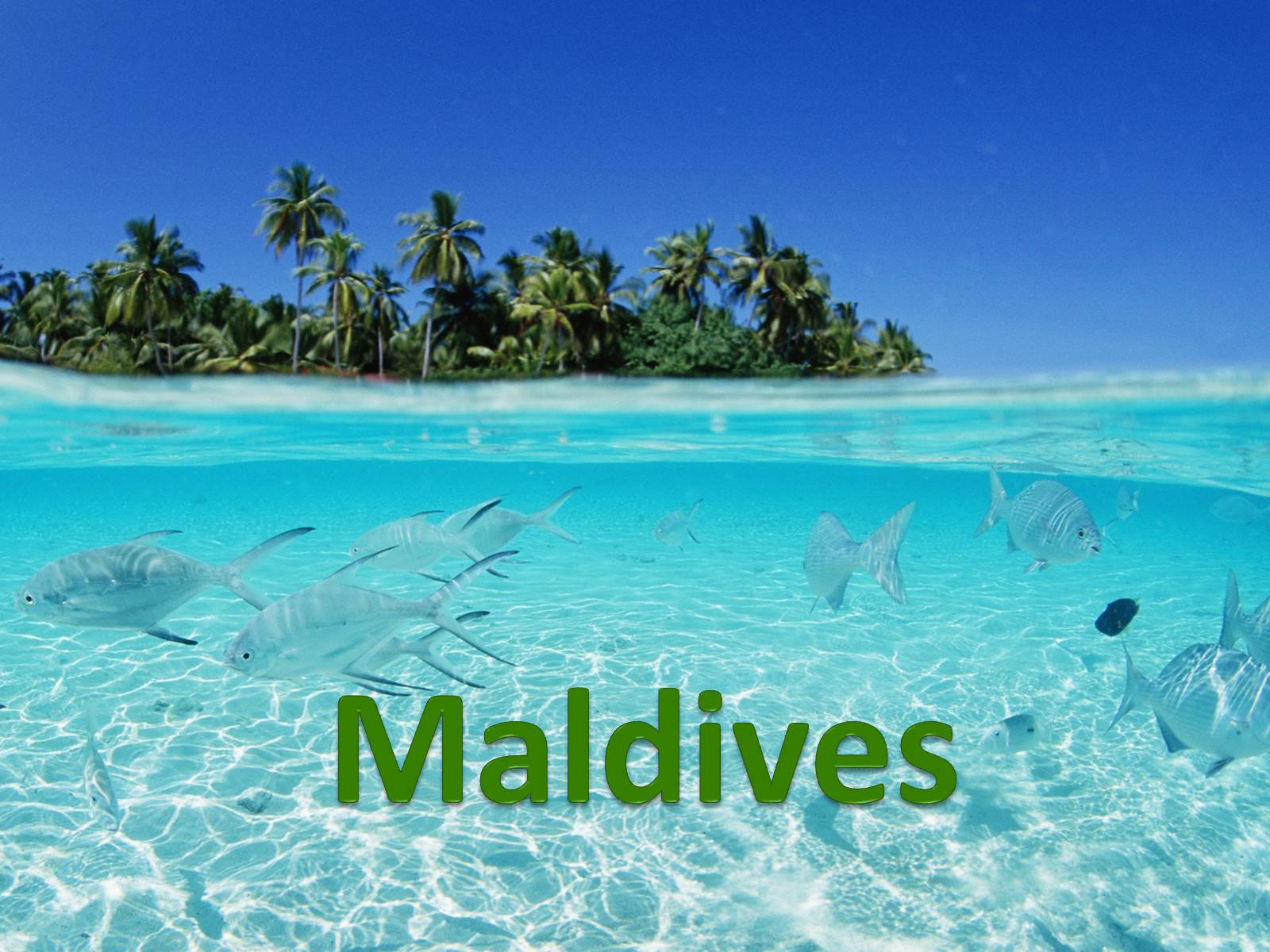 Презентація на тему «Maldives» (варіант 1) - Слайд #1