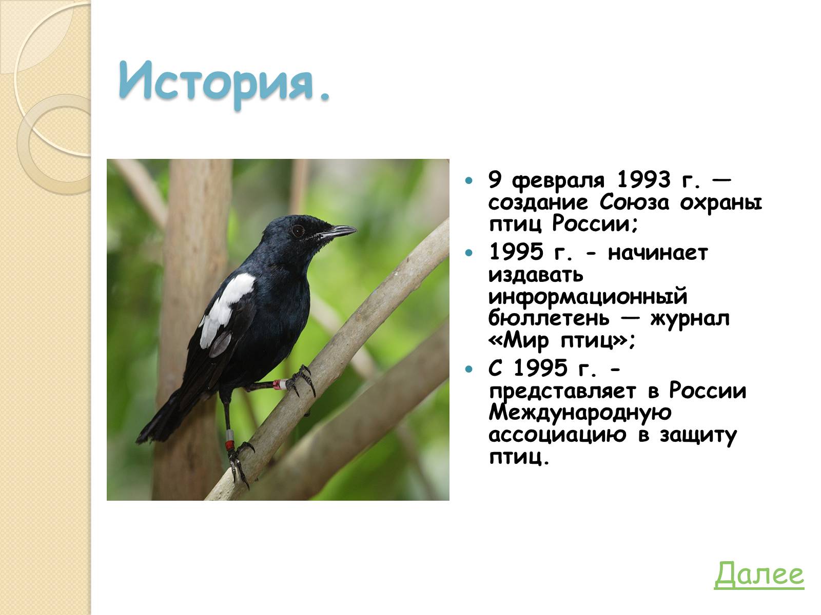 Презентація на тему «Охрана птиц» - Слайд #5