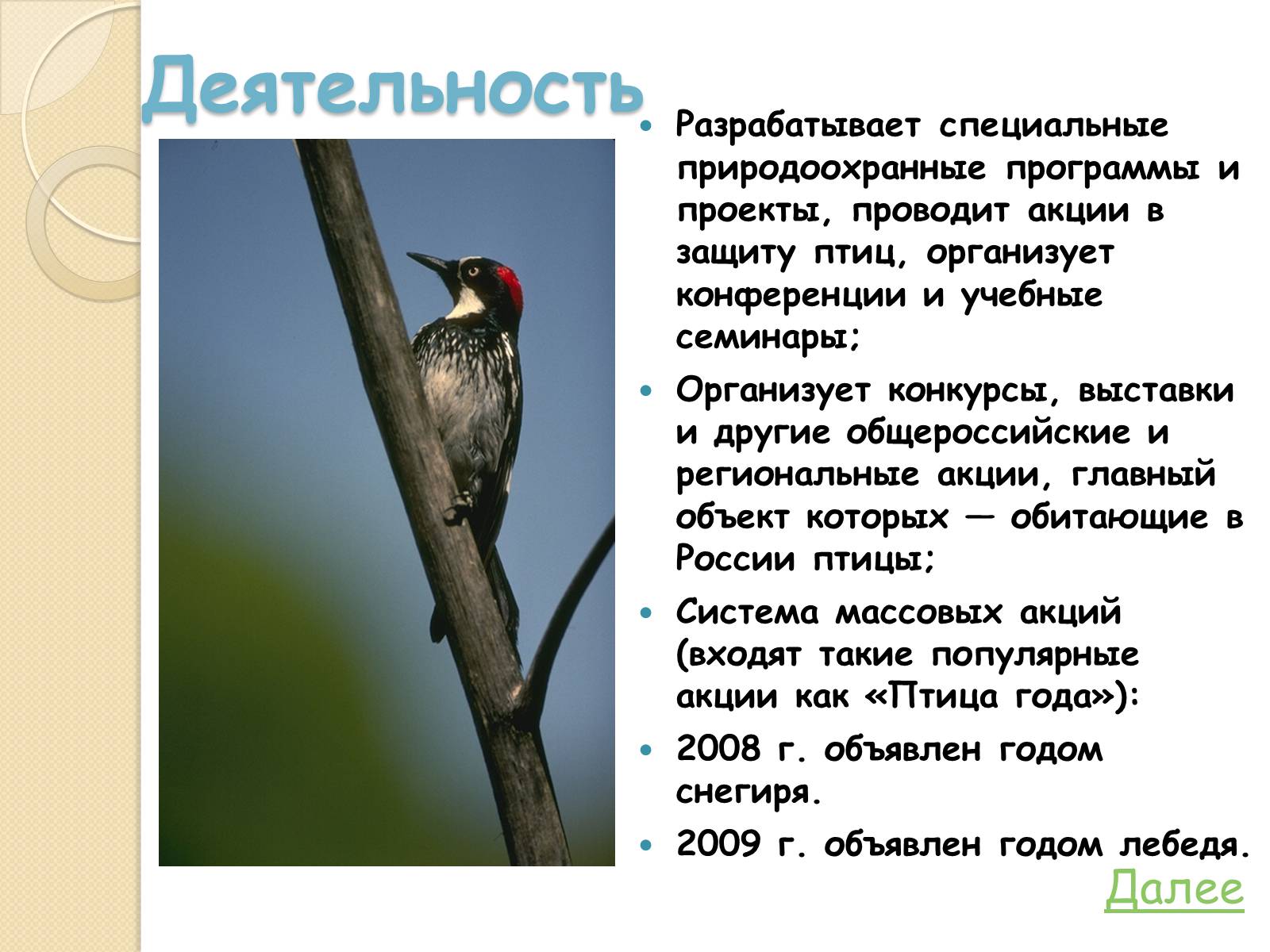 Презентація на тему «Охрана птиц» - Слайд #6