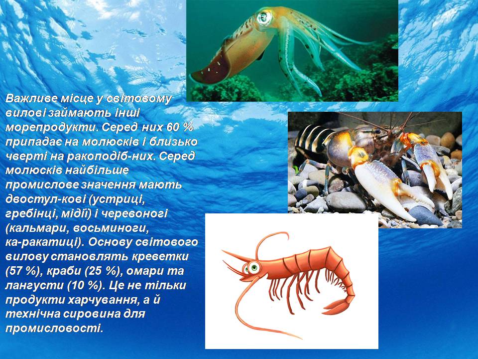 Презентація на тему «Біологічні ресурси світового океану» - Слайд #5