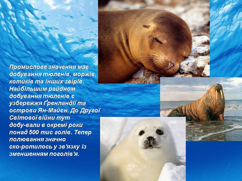 Презентація на тему «Біологічні ресурси світового океану» - Слайд #7