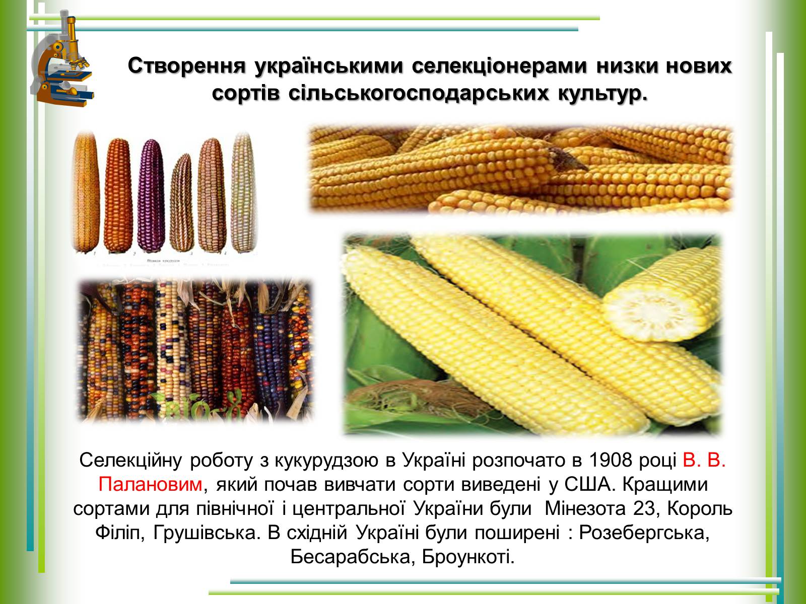 Презентація на тему «Досягнення українських селекціонерів у рослинництві» - Слайд #3