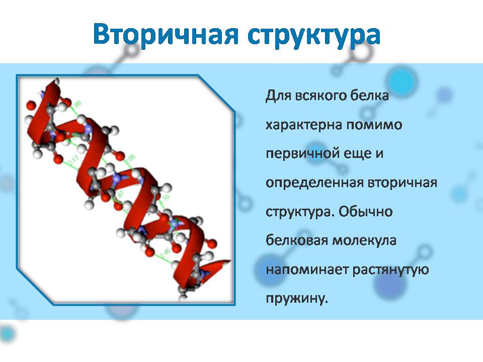 Вторичная структура белка. Какие связи характерны для вторичной структуры белка?. Необычные задания на тему белок. Для наливного белка характерно.